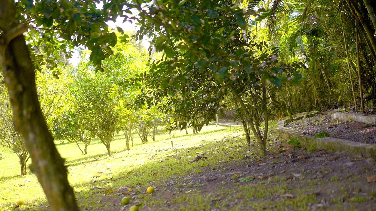 Pousada Bem Viver Ubatuba Exterior foto