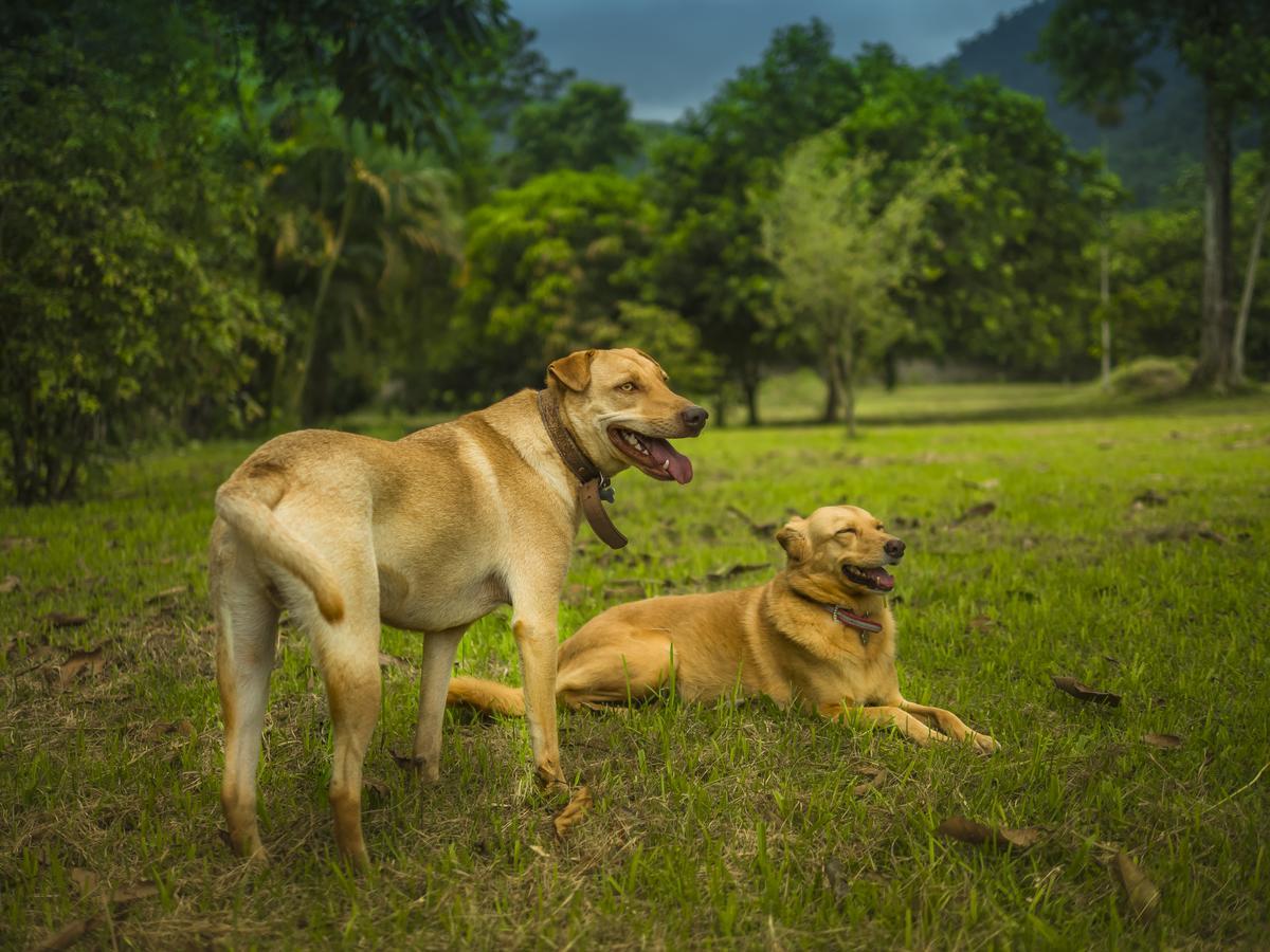 Pousada Bem Viver Ubatuba Exterior foto
